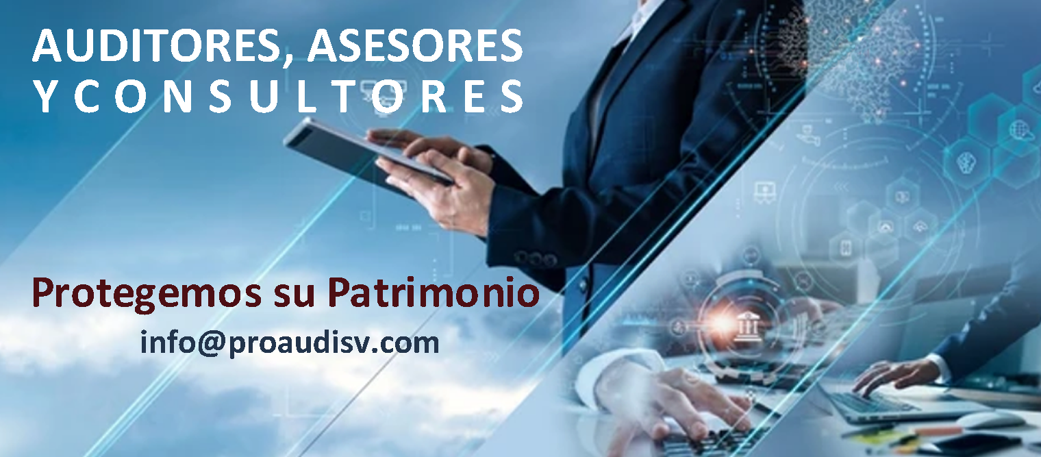 Auditores,Asesores,Consultores